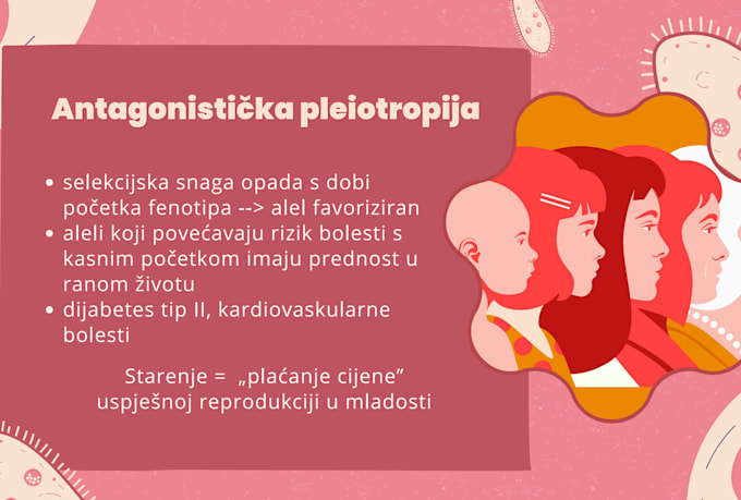 design a professional powerpoint